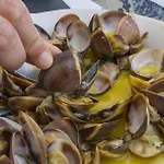 B33 - Do Vau * Portimão